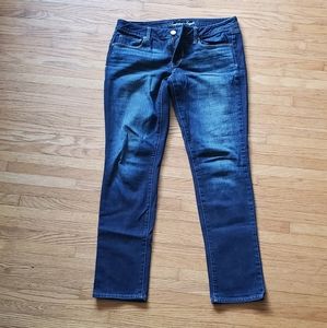 American Eagle Skinny Jeans 12 Long